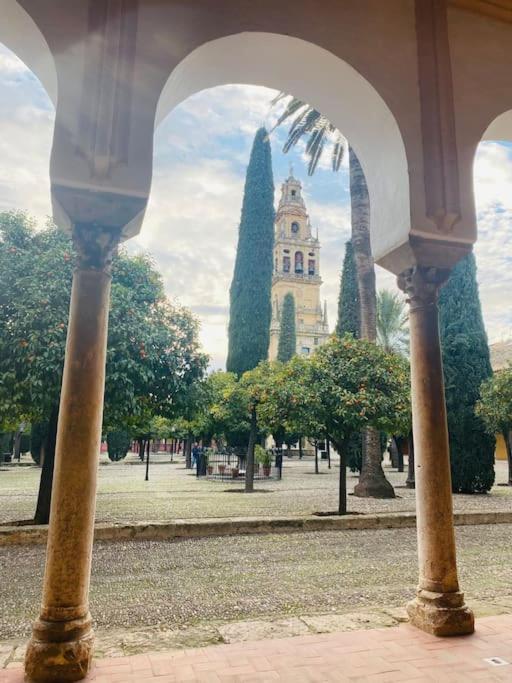 Espiral Abades * Cordoba